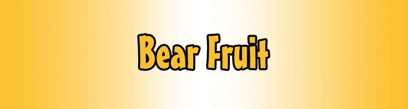 Bear Fruit